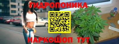 скорость Будённовск