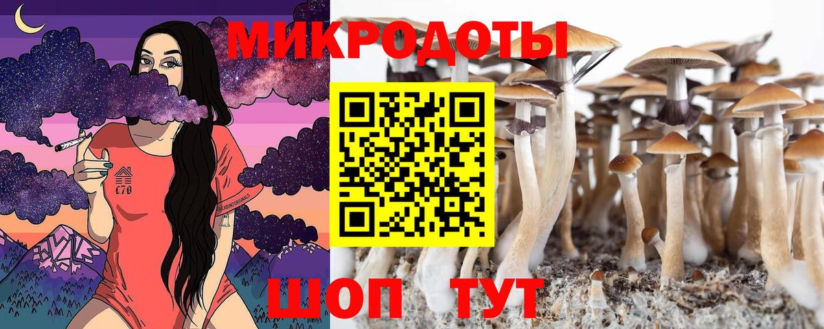 Галлюциногенные грибы Psilocybe  Псилоцибиновые грибы Magic Shrooms  продажа наркотиков  Вход с VPN  Красноуфимск 